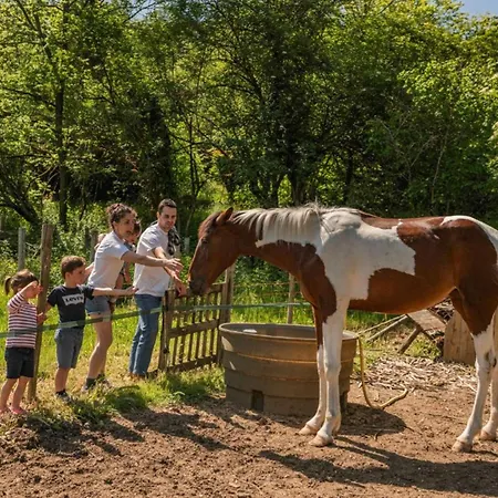 Kemp Avec Animaux Admis - 4 Pers. - Api-1-52-2596