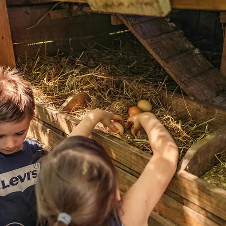 Avec Animaux Admis - 4 Pers. - Api-1-52-2596 Kemp